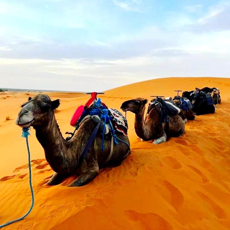 Bedouin Desert Camp Мерцуга Екстериор снимка